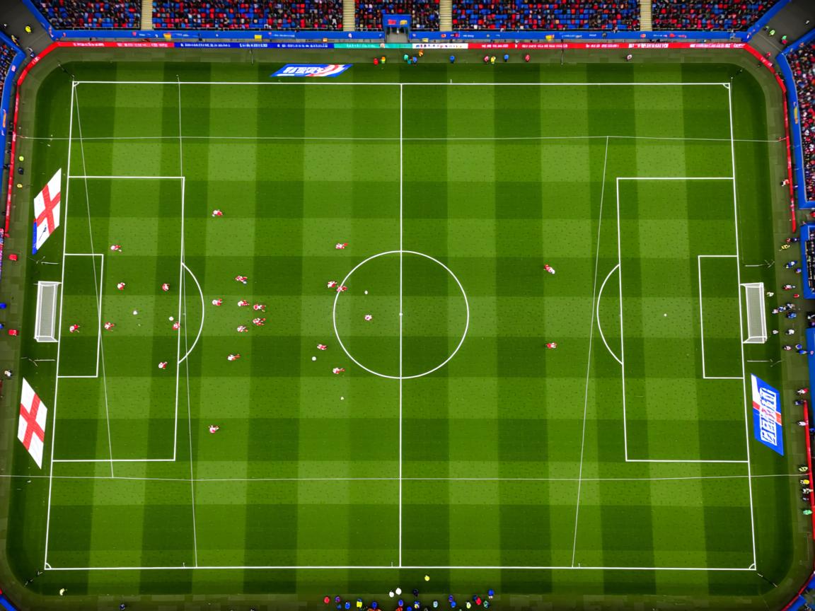 星空体育最新版-体育新闻中心推动体育短视频版权交易体系完善，体育短视频定义  第3张